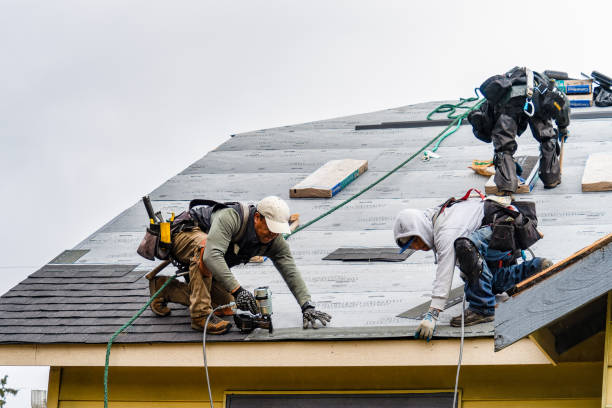 Professional Roofing technician working in Freeland, MI